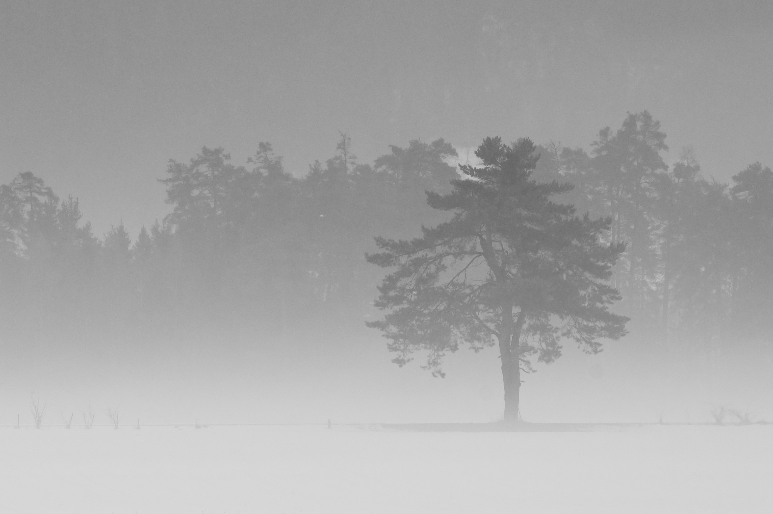 Landschaftsfotografie